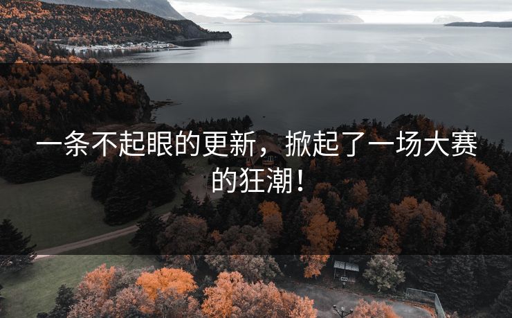 一条不起眼的更新，掀起了一场大赛的狂潮！